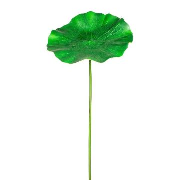 Feuille en mousse synthétique Nénuphar LUDAPE, vert, 100cm