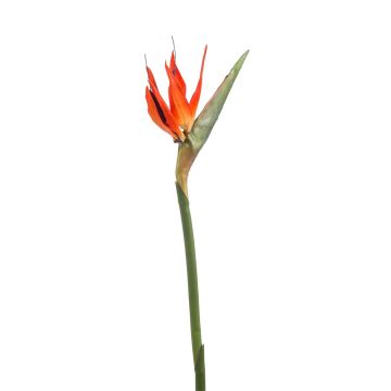 Strelitzia artificiel MELIORN, orange-violet, 85cm