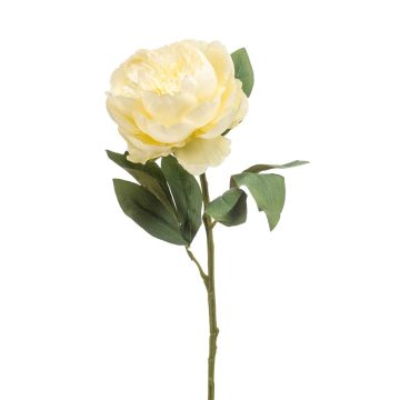 Fleur artificielle Pivoine IFEOMA, crème, 65cm