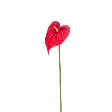 Fleur artificielle Anthurium XYLON, rouge, 50cm