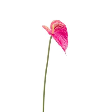 Fleur artificielle Anthurium XYLON, fuchsia, 50cm