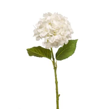 Fleur décorative Hortensia LOVA, blanc, 50cm