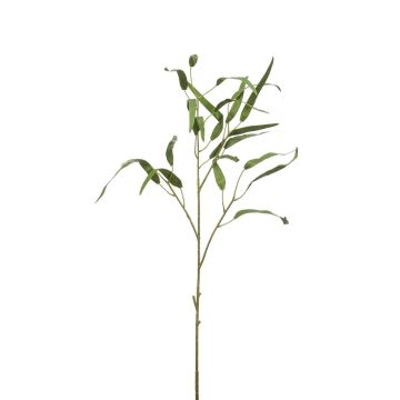 Branche d'eucalyptus artificielle CALIK, vert, 75cm