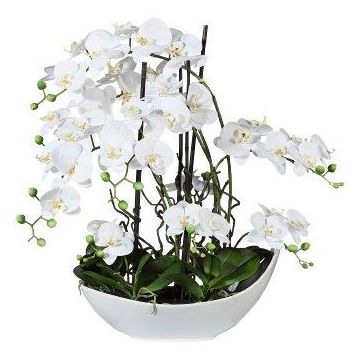 Arrangement d'orchidée et de saule tire-bouchon artificiel TANIN, coupe en céramique, racines, blanc, 70cm