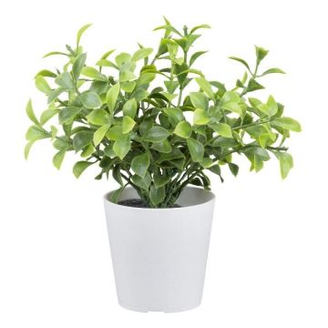 Plante artificielle Buis PARAM, 15cm