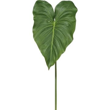 Feuille artificielle Calla LORTE, vert, 75cm