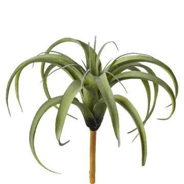 Plante succulente artificielle Tillandsia stricta TEMRA, piquet, vert, 26cm, Ø30cm