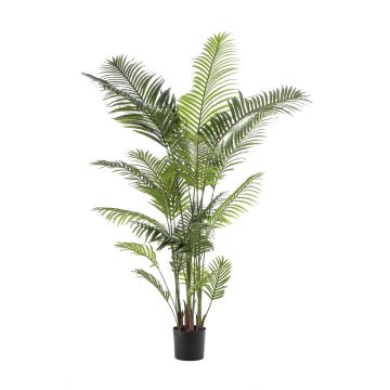 Palmier Areca artificiel TAWAN, 200cm