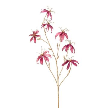 Gloriosa en velours KAZBEK, vieux rose-or, 110cm