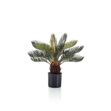 Palmier décoratif Cycas NEREO, 45cm