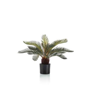 Palmier décoratif Cycas NEREO, 55cm