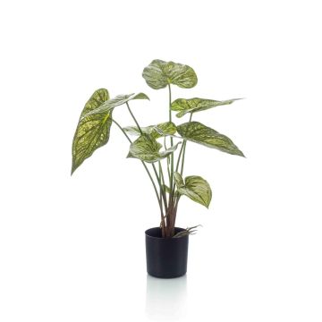 Caladium artificiel YAWAR avec des racines, vert-jaune, 60cm