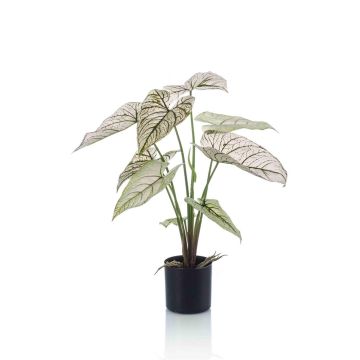 Caladium artificiel YAWAR avec des racines, vert-blanc, 60cm