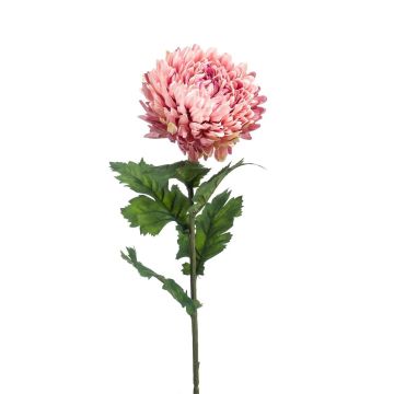 Fleur artificielle Chrysanthème LAZO, vieux rose, 75cm