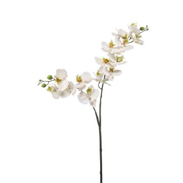 Tige d'orchidée Phalaenopsis artificielle WANTA, blanc, 100cm