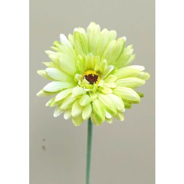 Fleur artificielle Gerbera TEUDELINDE, vert-crème, 55cm, Ø8cm