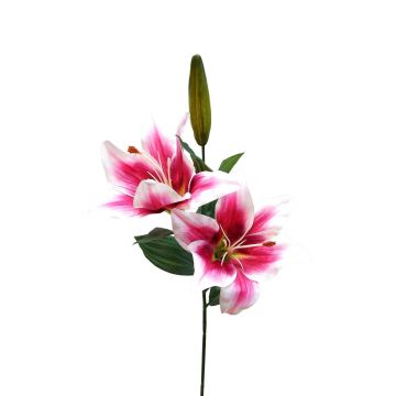 Branche fleurie artificielle Lys RODEHILDE, fuchsia-blanc, 65cm