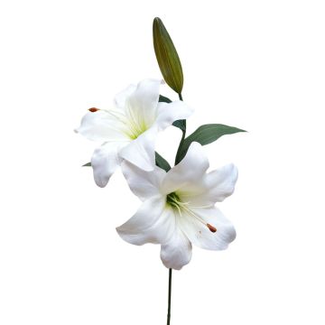 Branche fleurie artificielle Lys RODEHILDE, crème-blanc, 65cm