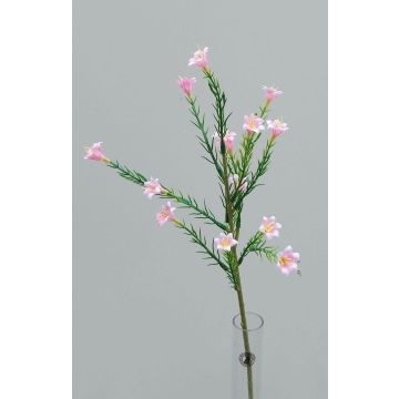 Chamelaucium uncinatum en plastique MAKEDA, rose-jaune, 45cm