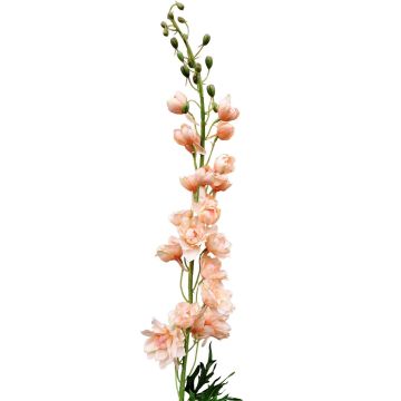 Fausse fleur Pied d'alouette RADUNIA, abricot, 100cm