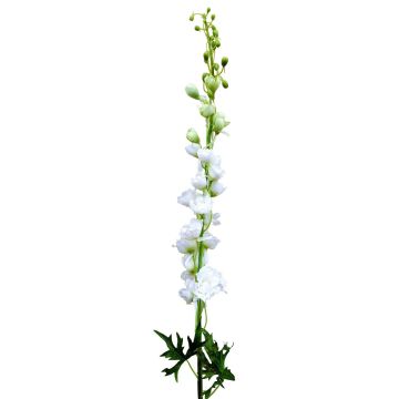 Fausse fleur Pied d'alouette RADUNIA, crème-blanc, 100cm