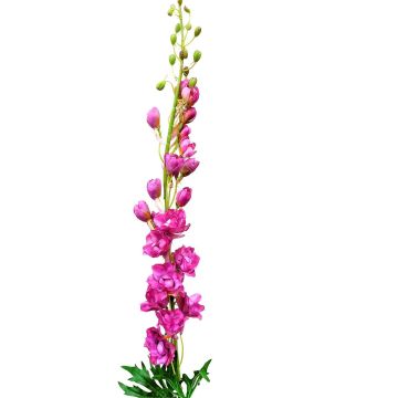 Fausse fleur Pied d'alouette RADUNIA, fuchsia, 100cm