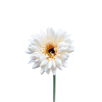 Fleur artificielle Gerbera TEUDELINDE, blanc-crème, 55cm, Ø8cm