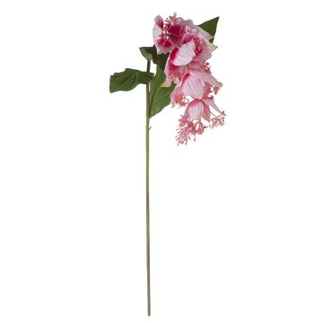 Branche de fleurs artificielles Medinilla LASENTER, rose, 110cm