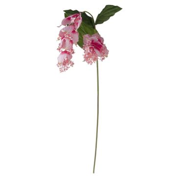 Branche de fleurs artificielles Medinilla LASENTER, rose, 140cm