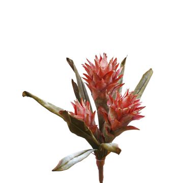 Guzmania en velours WALFRIEDE sur piquet, vieux rose, 50cm