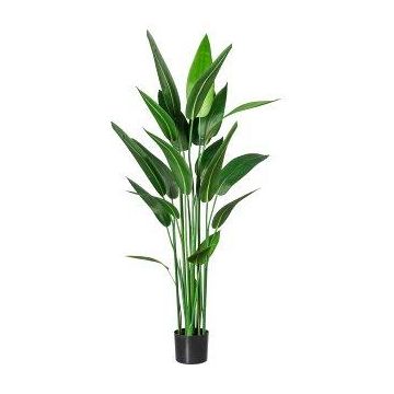 Plante artificielle Canna glauca TAFRO, vert, 140cm