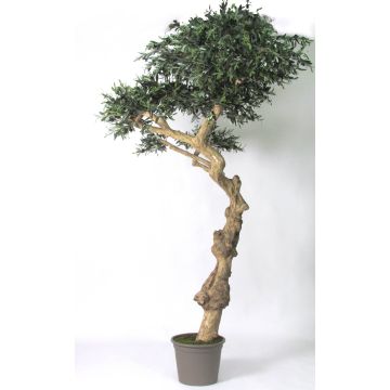 Künstlicher Olivenbaum ROGELIO, Naturstamm, mit Früchten, 275cm, Ø160/180cm - Made in Italy