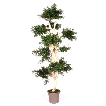 Kunstbaum Akazie BOHDAN mit Naturstamm, crossdoor, grün, 185cm - Made in Italy