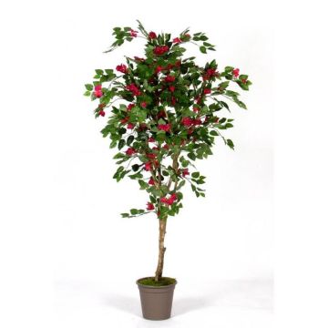 Faux bougainvillier ISMUNDE, tronc en bois véritable, fleurs, rose fuchsia, 150cm - Made in Italy