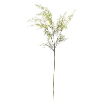 Asparagus sprengeri artificiel RUNAL, vert, 80cm