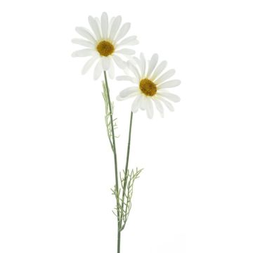 Marguerite décorative SOPY, blanc, 55cm