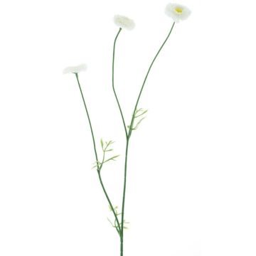 Branche de fleurs décorative Bellis NIKSA, crème, 55cm