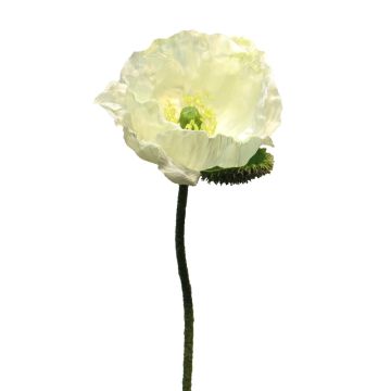 Fleur artificielle coquelicot ANKANG, crème, 70cm