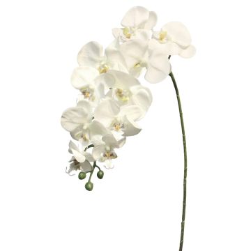 Branche décorative Orchidée Phalaenopsis JUANRU, blanc, 100cm