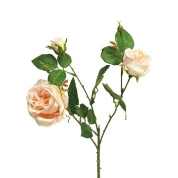 Branche décorative de Rose SHIYUN, crème-rose, 60cm