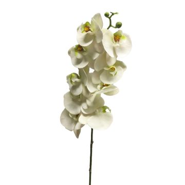 Orchidée Phalaenopsis artificielle sur tige SONGYA, blanc, 105cm