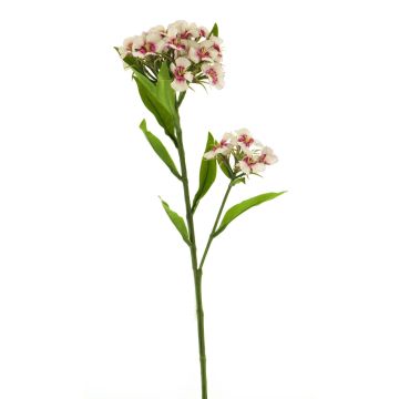 Branche fleurie artificielle œillet de poète YUFENG, crème-fuchsia, 60cm