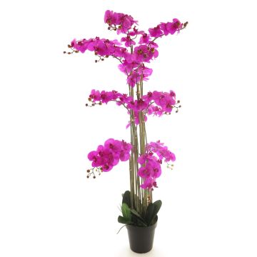 Fleur artificielle orchidée Phalaenopsis CHENXU, fuchsia, 140cm