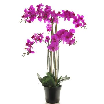 Fleur artificielle orchidée Phalaenopsis CHENXU, fuchsia, 110cm