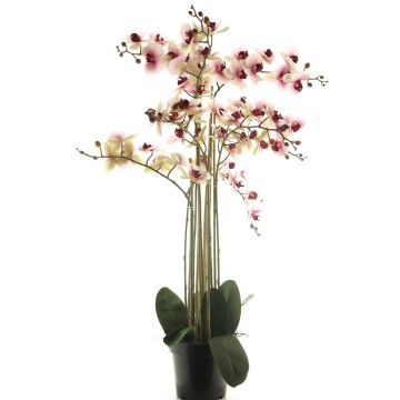 Fleur artificielle orchidée Phalaenopsis CHENXU, rose-crème, 110cm