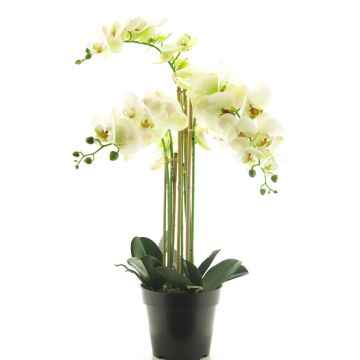 Fleur artificielle orchidée Phalaenopsis CHENXU, blanc, 60cm