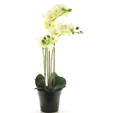 Fleur artificielle orchidée Phalaenopsis CHENXU, blanc, 55cm