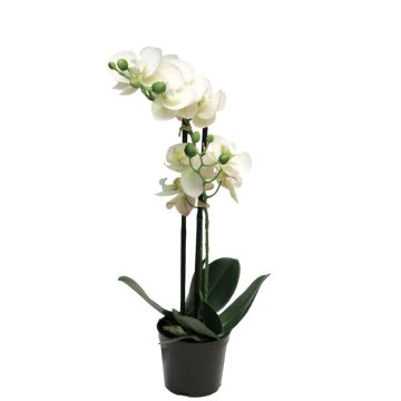 Fleur artificielle orchidée Phalaenopsis CHENXU, blanc, 50cm