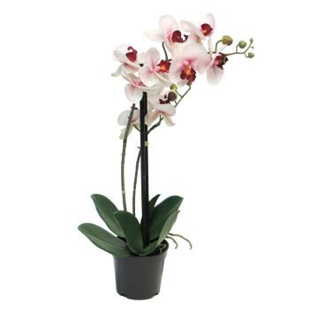 Fleur artificielle orchidée Phalaenopsis CHENXU, rose-crème, 50cm