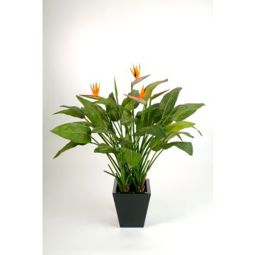 Strelitzia artificiel SANURA, orange-violet, 130cm, 18x25cm